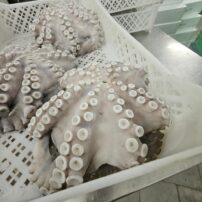 IMG-20250428-WA0007