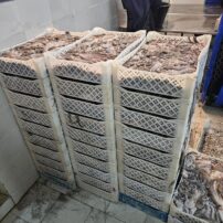 IMG-20250428-WA0009