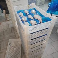 IMG-20250428-WA0012